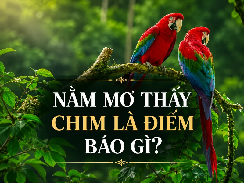 Mơ thấy chim báo hiệu điều gì? Giải mã từng tình huống