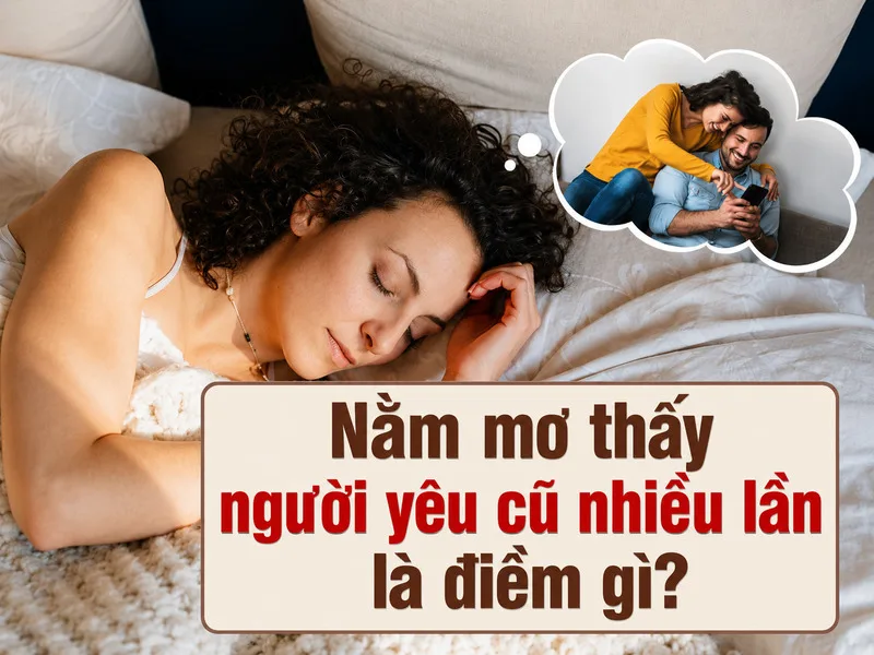 Nằm mơ thấy người yêu cũ nhiều lần không phải bằng chứng chắc chắn về tương lai hay việc đối phương đang nghĩ đến bạn
