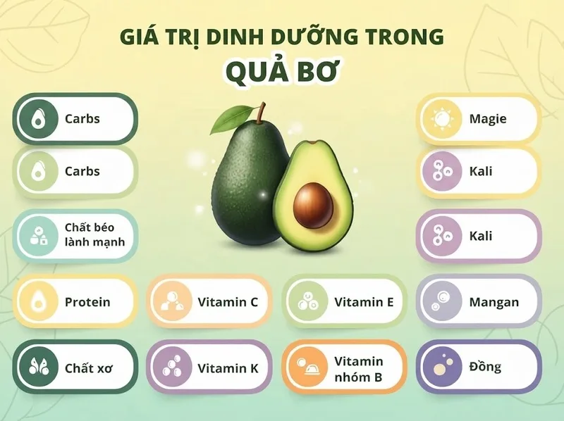 Quả bơ giàu chất béo không bão hòa, chất xơ, kali và nhiều dưỡng chất cần thiết trong chế độ ăn cân bằng.